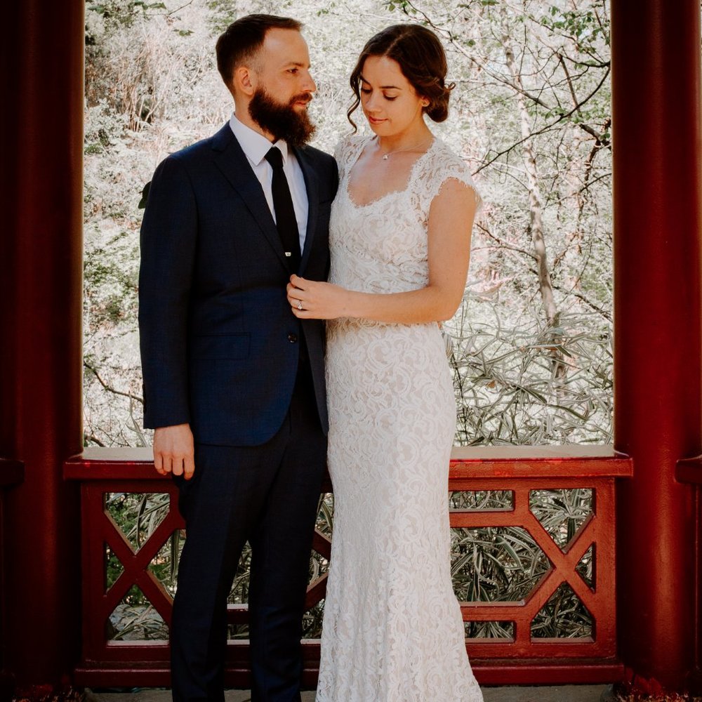 BHLDN Marivana wedding dress by Tasashi Shoji sz 4 - Picture 4 of 7